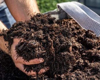 Quickcrop vegetable soil mix