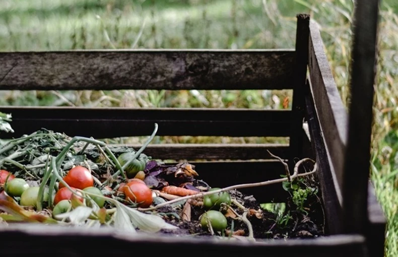 a compost bin with food added 