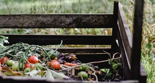 a compost bin with food added 