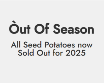 Seed potatoes out of season for 2025