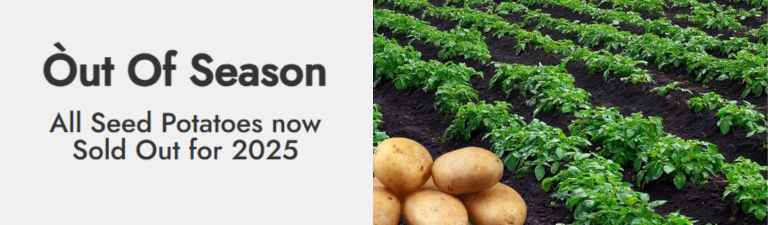 Seed potatoes out of season for 2025