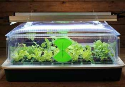 Vitopod Large Propagator with lights  