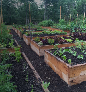 Quickcrop timber raised vegetable beds