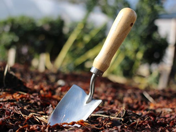 A trowel stuck into the soil