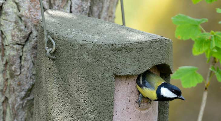 Schwegler woodcrete nest boxes