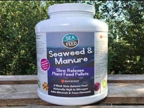 Seafeed Container on a bench
