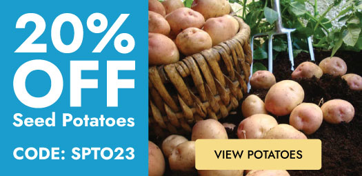Seed potato special offers