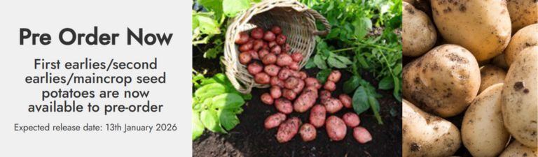 seed potatoes now available to pre-order