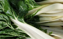 silverbeet chard