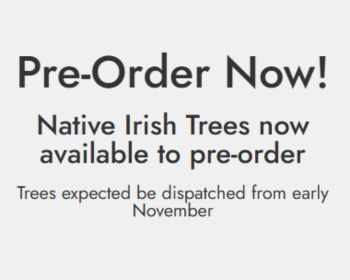 pre order now for dispatch in early November