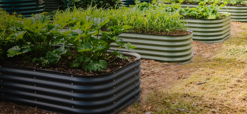 two metal raised beds in garden