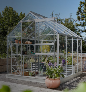 Vitavia greenhouse special offer.