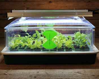 Vitopod Large Propagator with lights