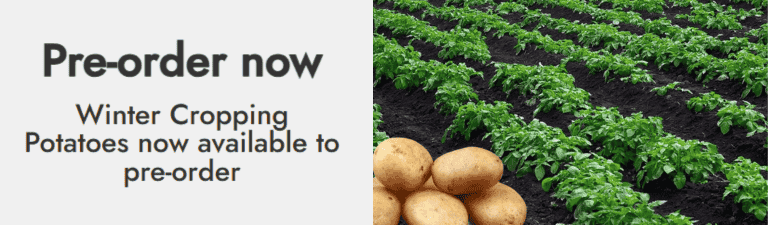 winter cropping potatoes now available to pre-order