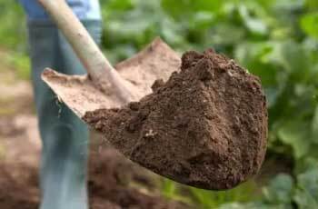 Healthy Soil Image