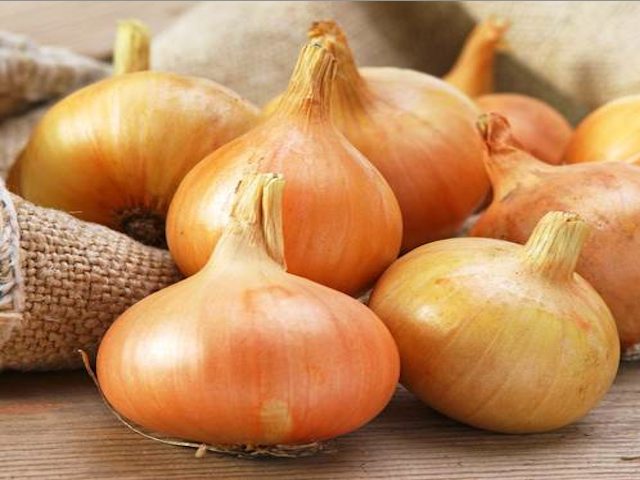 Stuttgart Onion sets