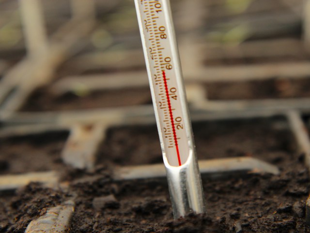 Soil thermometer from tenax