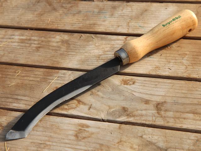 Carbon Steel Asparagus Knife