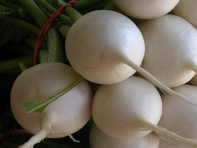 Tokyo cross oriental turnips