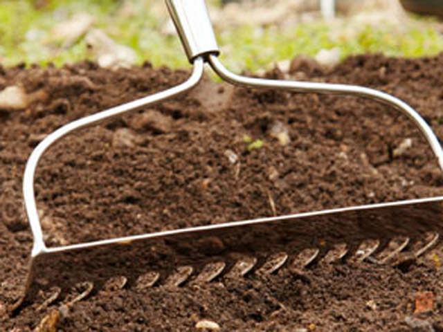 RHS Approved garden Rake by burgon & ball