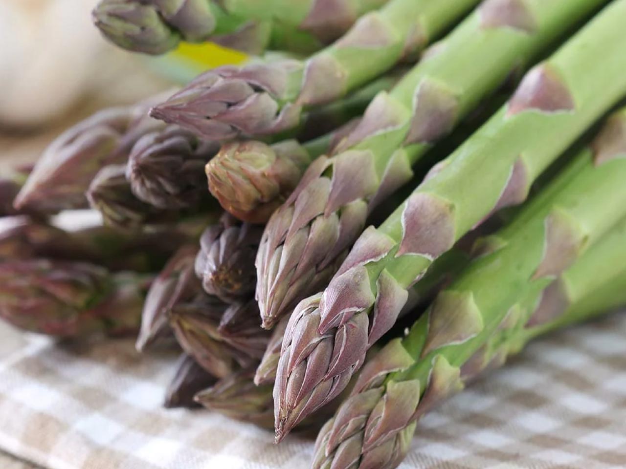 A nice bundle of Argenteuil asparagus tips