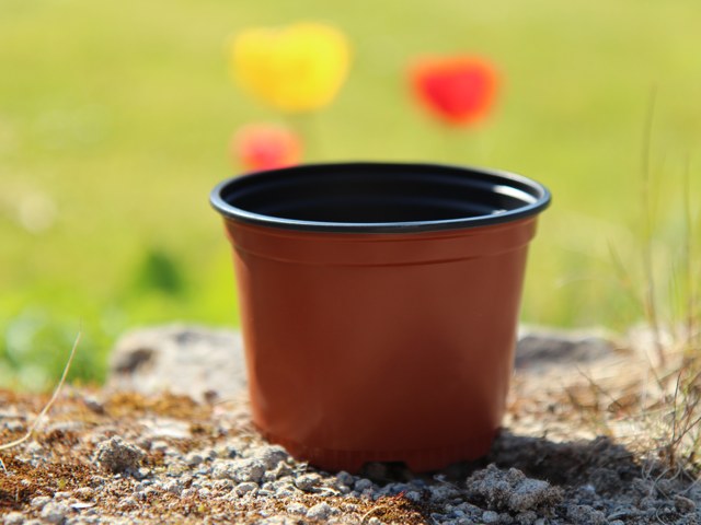 Plastic Plant Pots - Pack of 10