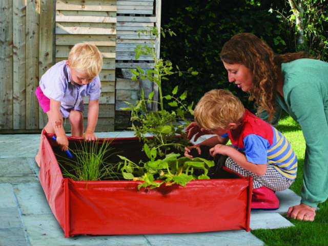 Childrens Vegetable Garden Kit