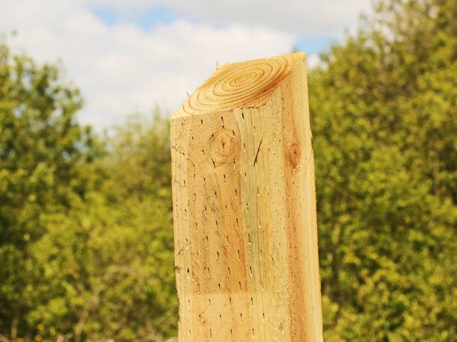 Square Garden Sloped Posts / Fencing Stakes