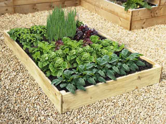 Allotment Raised Beds - 17.5cm/    7 inch High Timber Planters