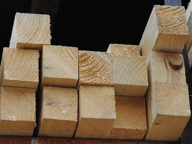 Treated timber for mini polytunnel frames