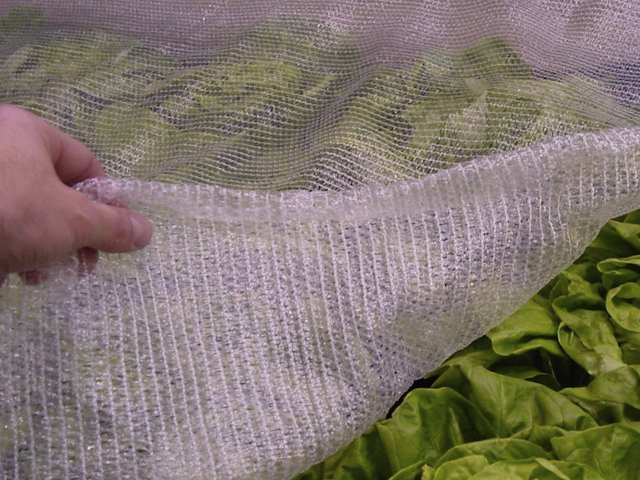 enviromesh insect protection