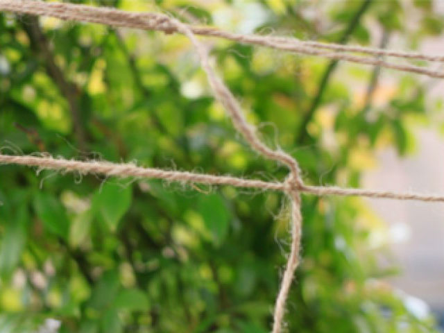 Jute Netting Plant Support 2m x 5m