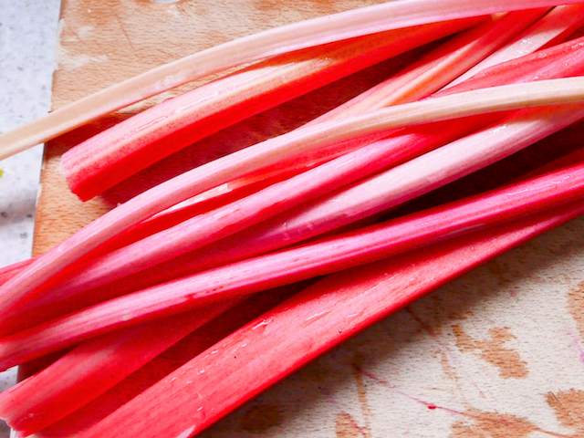Rhubarb crowns pink champagne