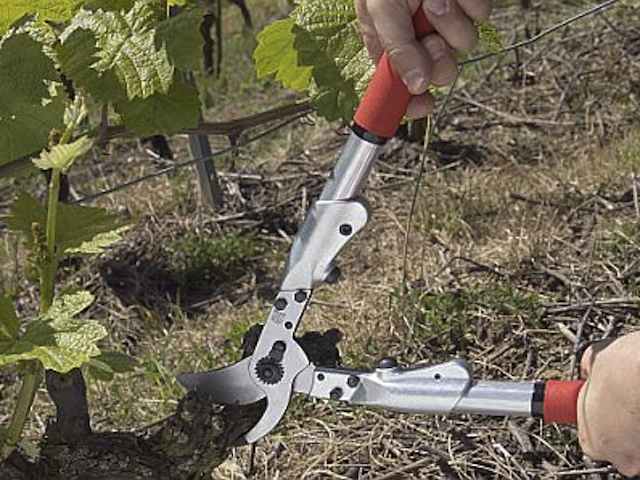 felco heavy duty loppers