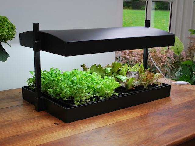Growlight indoor garden