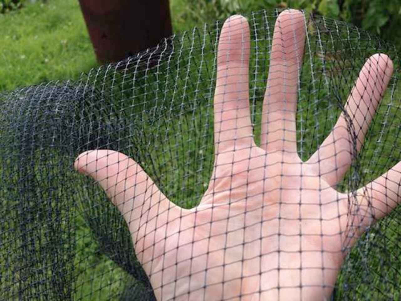 Extruded Anti Butterfly Netting (6mm x 7mm Mesh)