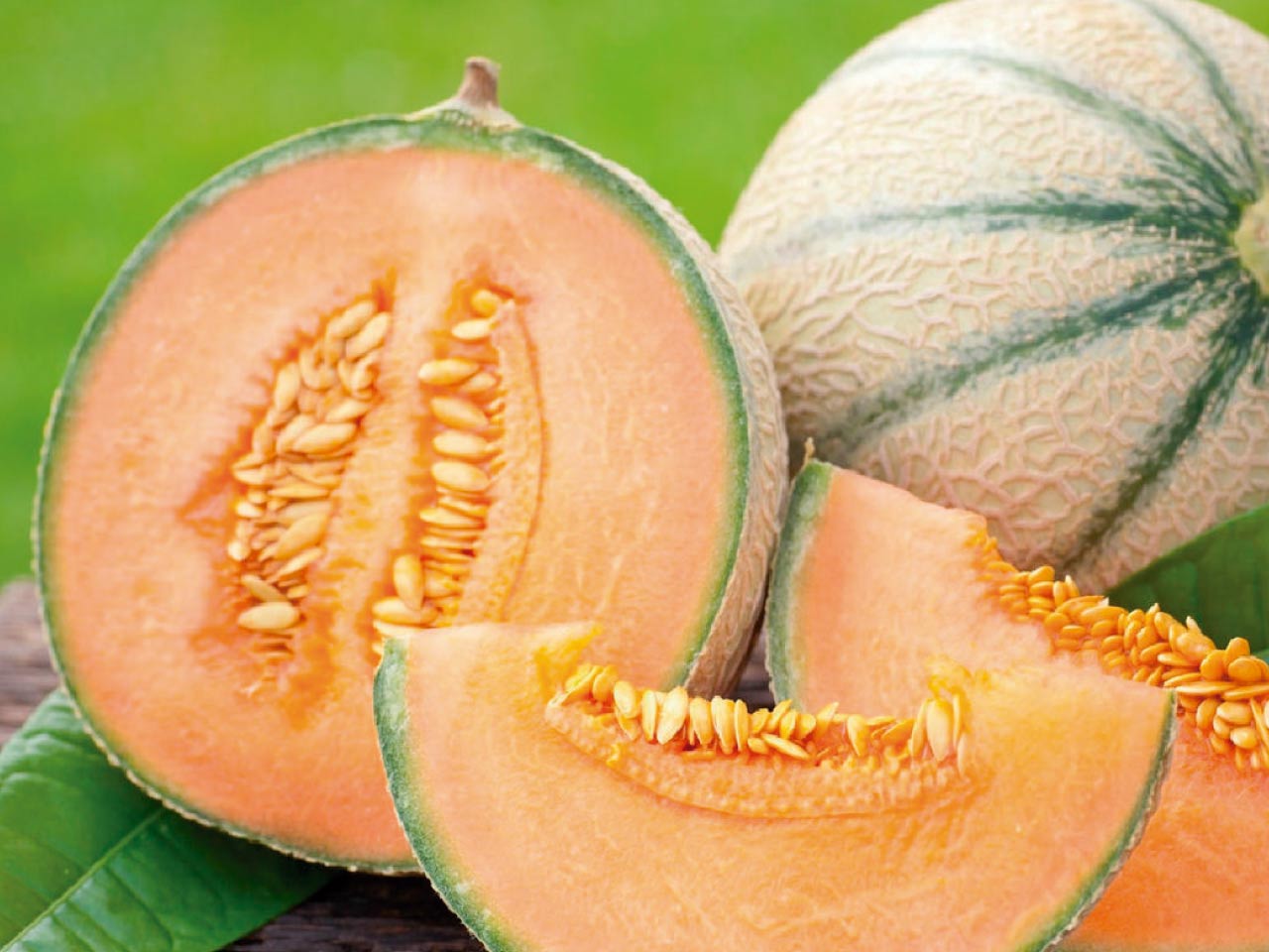 Melon 'Charentais'