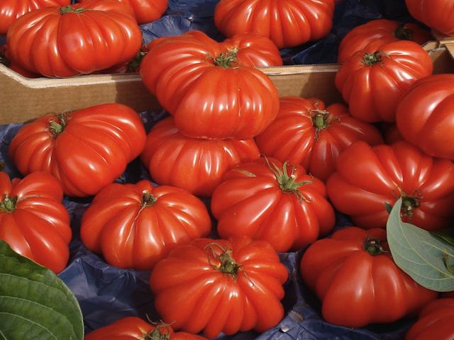 Tomato marmande beefsteak french tomato