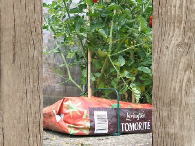 Botanico Growbag Cane Support 3 Pack