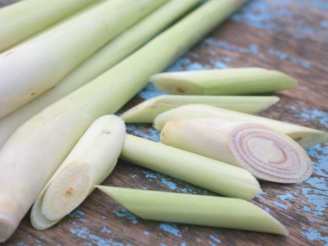 Lemongrass Seeds