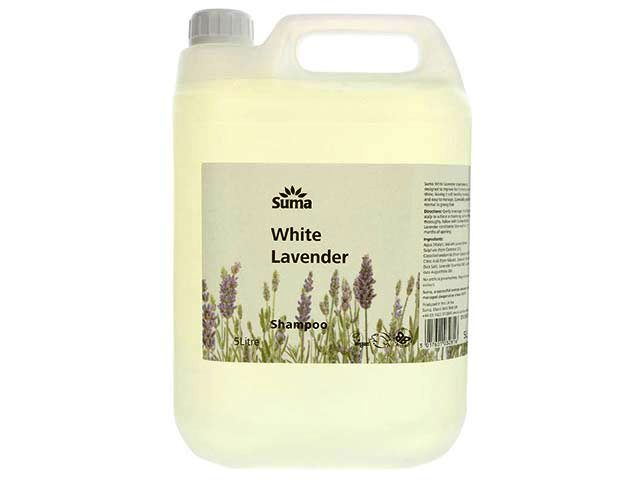 lavender hair shampoo