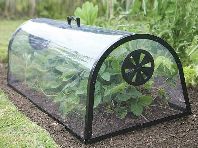 Kitchen Garden Cloche