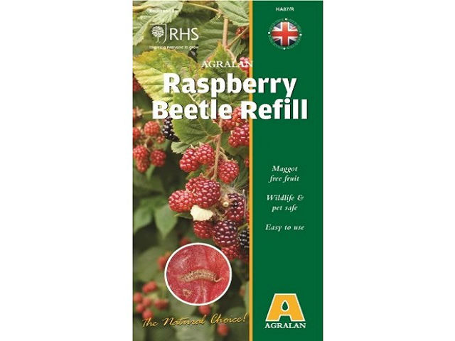 Raspberry Beetle Trap Refill