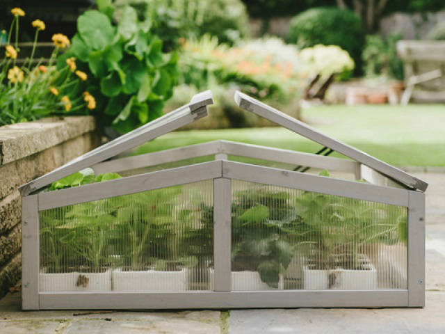 Plantpak Cold Frame