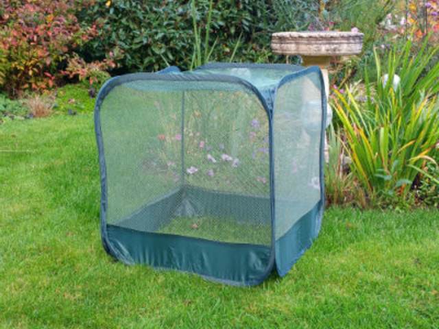 The Mini Pop-Up Mesh Fruit Cage is perfect for growing plants and protecting them against pest attack.