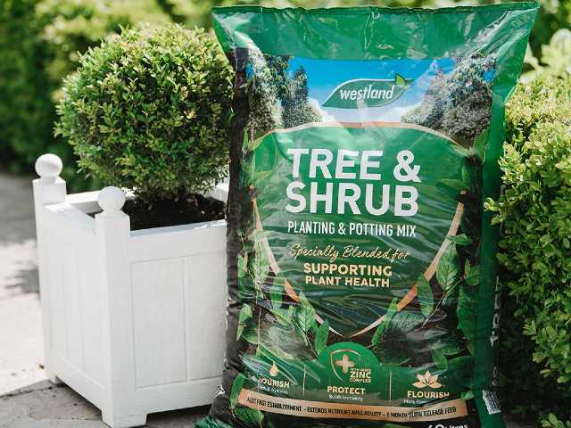 Westland Tree & Shrub Planting & Potting Mix has been specially blended to support plant health, strengthening trees and shrubs from the inside out.