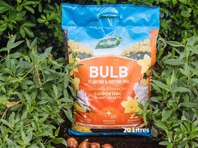 Westland Bulb Planting & Potting Mix has been specially blended to support with the growth of dry, healthy bulbs.