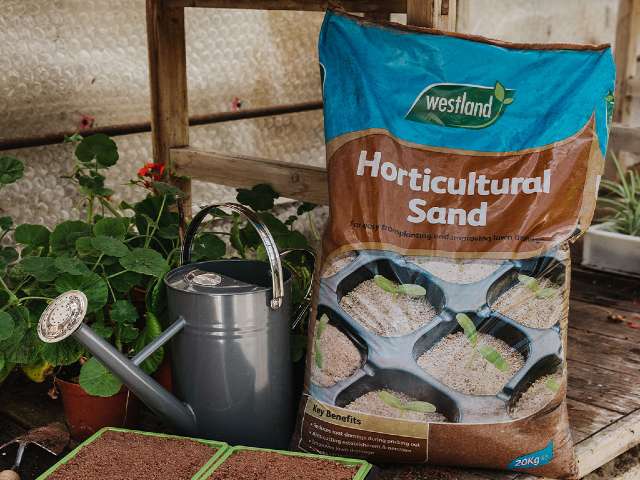 Westland Horticultural Sand - 20kg