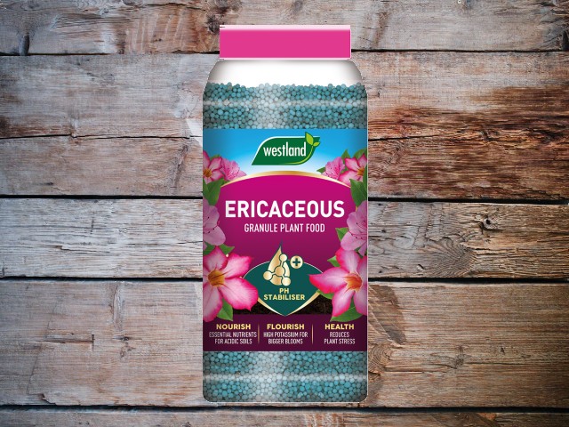 Westland Ericaceous 3 Month Plant Food - 900g