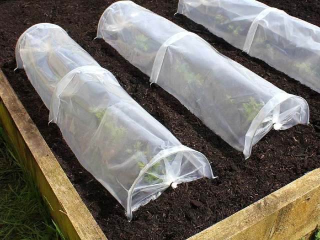 Haxnicks Easy Seedlings Tunnels - 3 pack